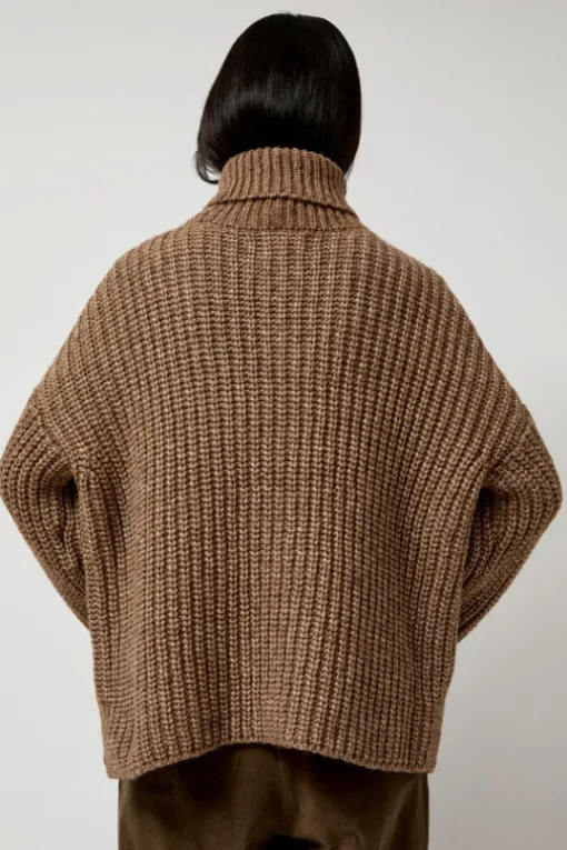 Alpaca Rib Turtleneck in Brown
