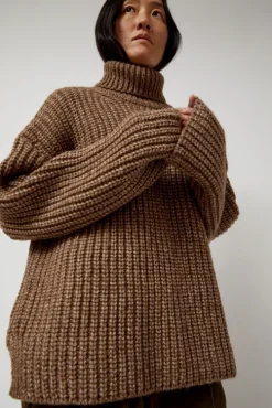 Alpaca Rib Turtleneck in Brown