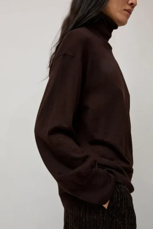La Base Turtleneck in Brown