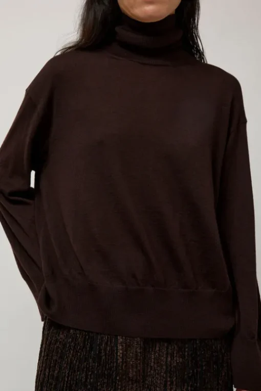 La Base Turtleneck in Brown