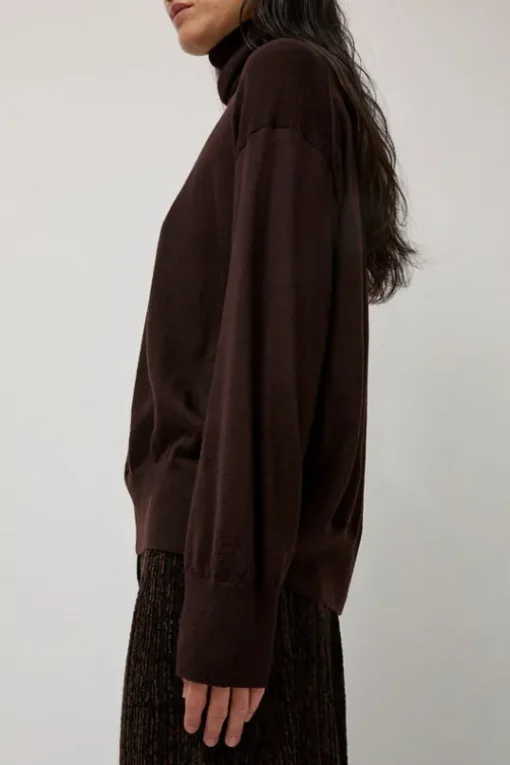La Base Turtleneck in Brown