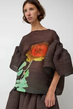 Robin Top in Rose