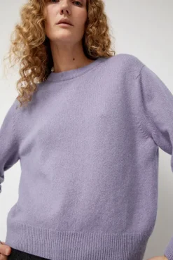 Tropical Dreams Crewneck in Violet Mix