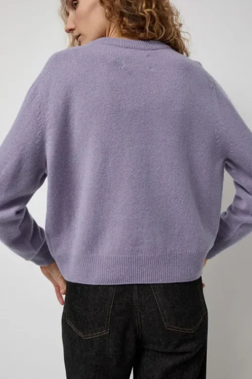 Tropical Dreams Crewneck in Violet Mix
